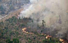 Planète (Amérique du Sud) - Brésil: «Incendies illégaux», «déforestation»… Pourquoi le pays continue de brûler malgré la chute de Bolsonaro