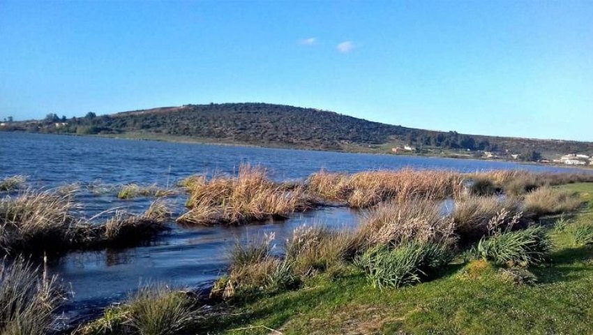 Algérie (Le Lac des Oiseaux/El Tarf) -  Le lac des Oiseaux agonise