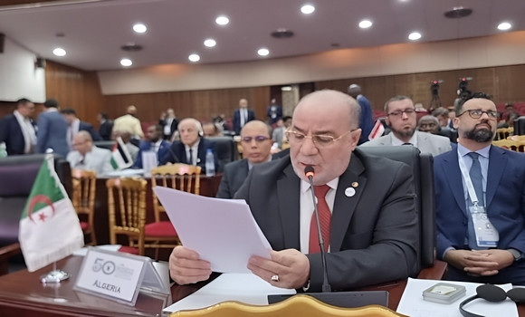 Belmehdi met en avant à Yaoundé les efforts de l'Algérie au Conseil de sécurité en faveur de la cause palestinienne