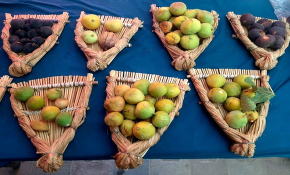 Tizi-Ouzou: améliorer la production de figues, principal objectif de la fête de Lemsella