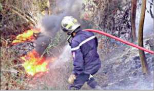 Des mesures supplémentaires pour la protection du couvert végétal forestier contre les incendies