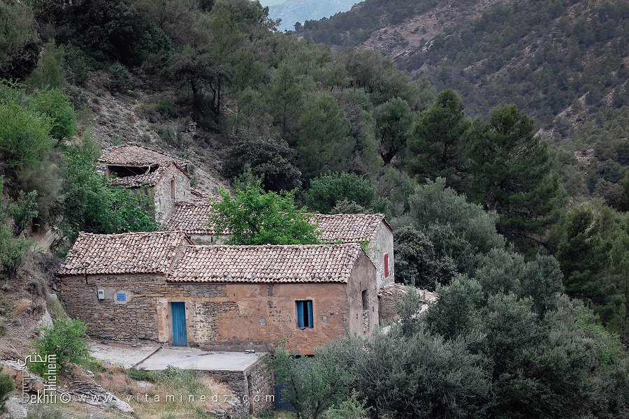 Le gite en tant que factur du tourisme et la promotion rurale : Cas du villege:El-Gouléa.