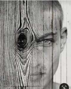 Les mémoires de la vie