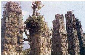 Bref historique de l’aqueduc romain de Toudja