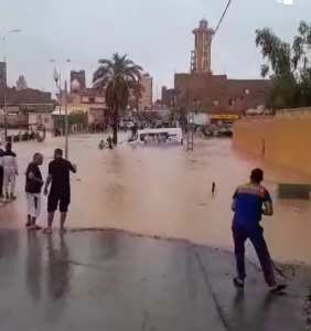 إجراءات عاجلة للتكفل بمتضرري بشار