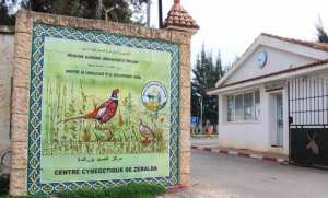 Algérie (Centre cynégétique de Zeralda/Alger) - Préservation du gibier en Algérie: reproduction de plus de 6.000 perdrix gambra en 2024