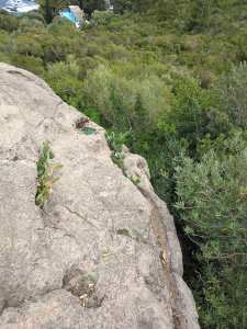 Qui connaît la tombe phénicienne à Vaga (Béjaïa)?
