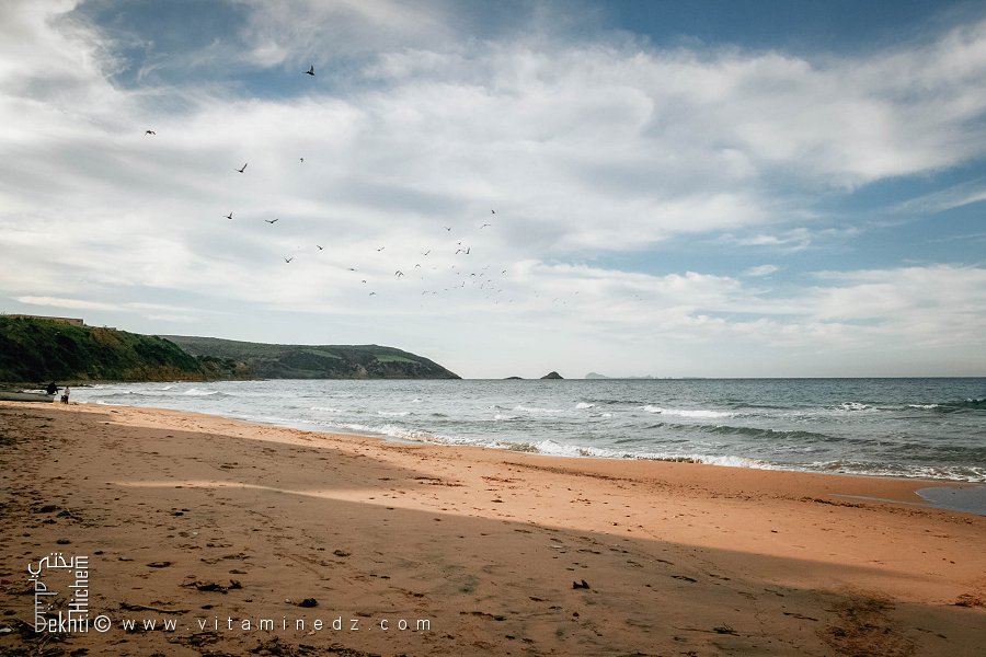 Cap Blanc, la plage qui attire les familles oranaises Une plage agréable à l’ouest d’Oran