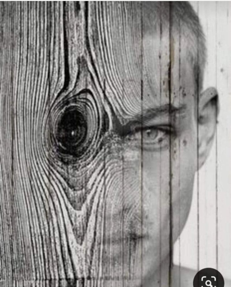 Les mémoires de la vie