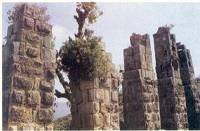 Bref historique de l’aqueduc romain de Toudja