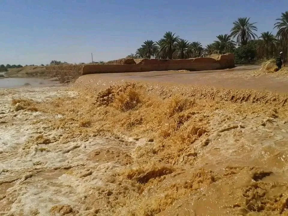 انتشال جثث أب وابنيه من بركة مائية بغرداية