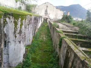 Ferme Tourneux d’Aokas à Béjaïa : Enfermés dans des cuves à vin jusqu'à la mort