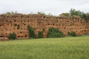 LASSOUAR (CAMP DE TIMZEZDEKT)