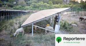 Planète (France/Europe) - La garrigue ardéchoise dévorée par le photovoltaïque