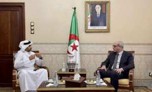 Bibi Triki reçoit le conseiller du Conseil d'administration de la société qatarie Baladna