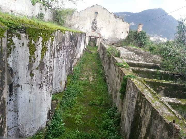 Ferme Tourneux d’Aokas à Béjaïa : Enfermés dans des cuves à vin jusqu'à la mort