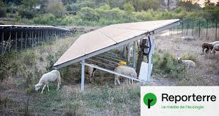 Planète (France/Europe) - La garrigue ardéchoise dévorée par le photovoltaïque