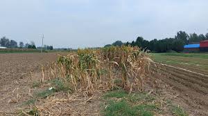 Planète (Chine/Asie) - 