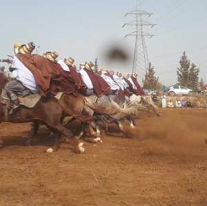 وعدة سيدي علي بن عومر