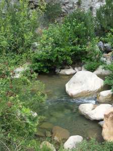 Laalam, un village à la nature sauvage qui attire les touristes algériens
