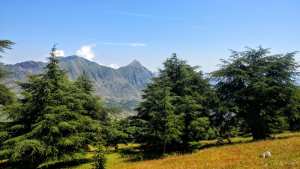 Aït-Smail : LA CEDRAIE DE TAKOUCHT