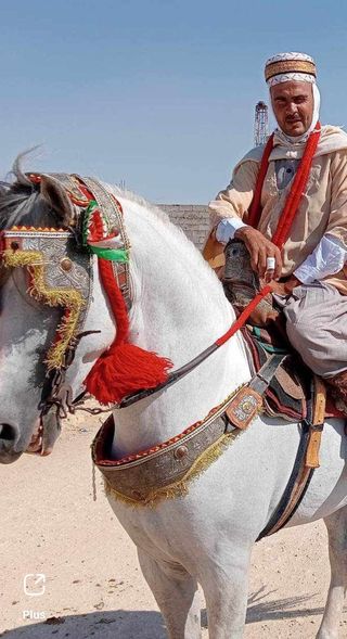 وعدة سيدي سنوسي بدوار المهادية بلدية السوافلية بولاية مستغالم