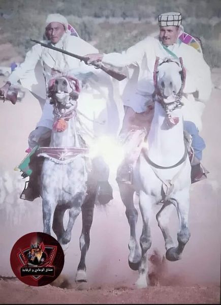 وعدة زروالة بولاية سيدي بلعباس