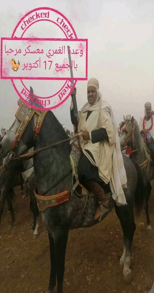 وعدة الغمري/ ولاية معسكر