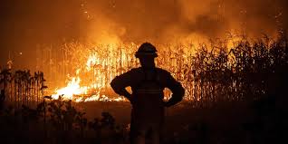 Planète (Europe) - Incendies au Portugal: sept morts, dont trois pompiers, le pays en 