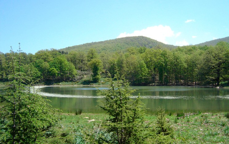 Massif forestier de l’Akfadou : Un écrin de la biodiversité