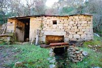 Le patrimoine ancestral en voie de disparition en Kabylie : Le dernier moulin à eau de l’Akfadou