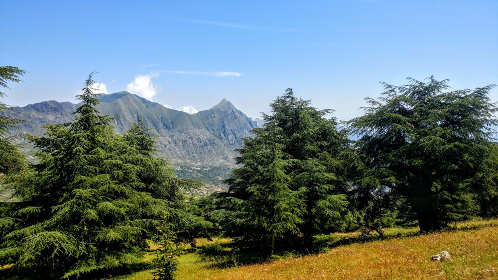 Aït-Smail : LA CEDRAIE DE TAKOUCHT
