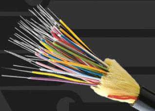 لصوص الكوابل الهاتفية بالبليدة وراء القضبان