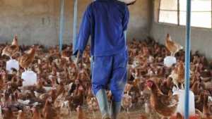 Algérie (Raml-Essouk/El-Tarf) -  La pollution étouffe les habitants de cette localité