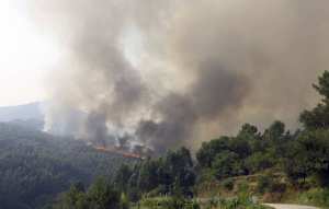 Planète (Europe) - Incendies au Portugal: La série de feux meurtriers qui ont frappé le pays enfin maîtrisée
