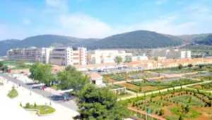 تلمسان: مصرع 03 أشخاص وإصابة آخرين في حادثي مرور