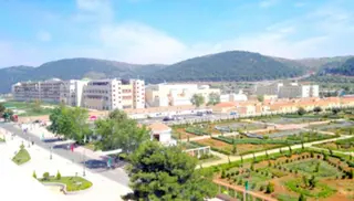 تلمسان: مصرع 03 أشخاص وإصابة آخرين في حادثي مرور