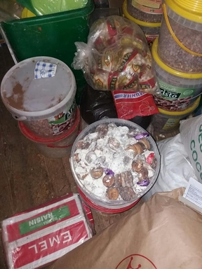 وهران: 4 جرحى في حادث مرور على مستوى الطريق الوطني رقم 11