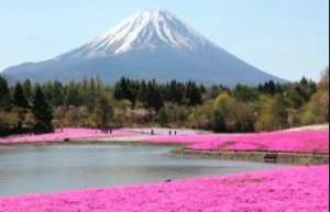 Le premier hôtel Halal du Japon ouvre ses portes face au Mont Fuji