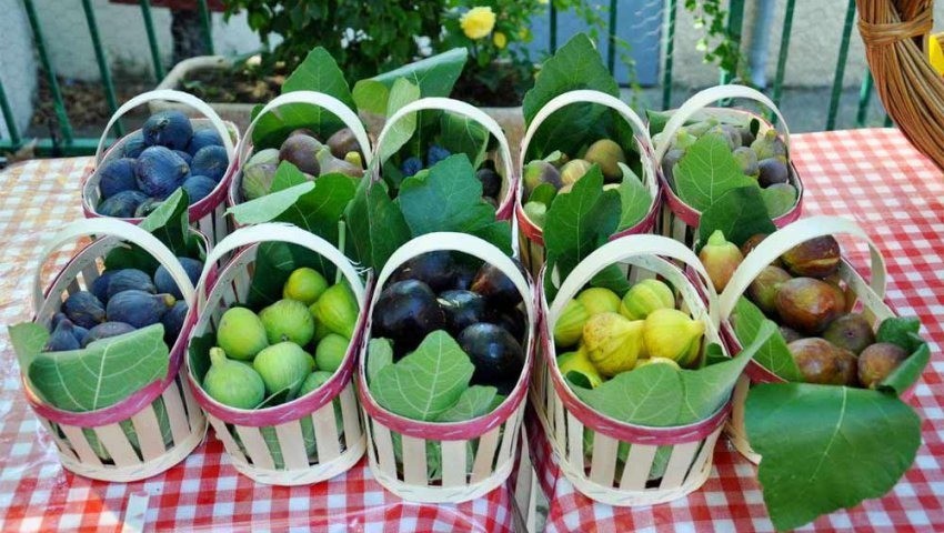Béjaïa La fête de la figue n’aura pas lieu