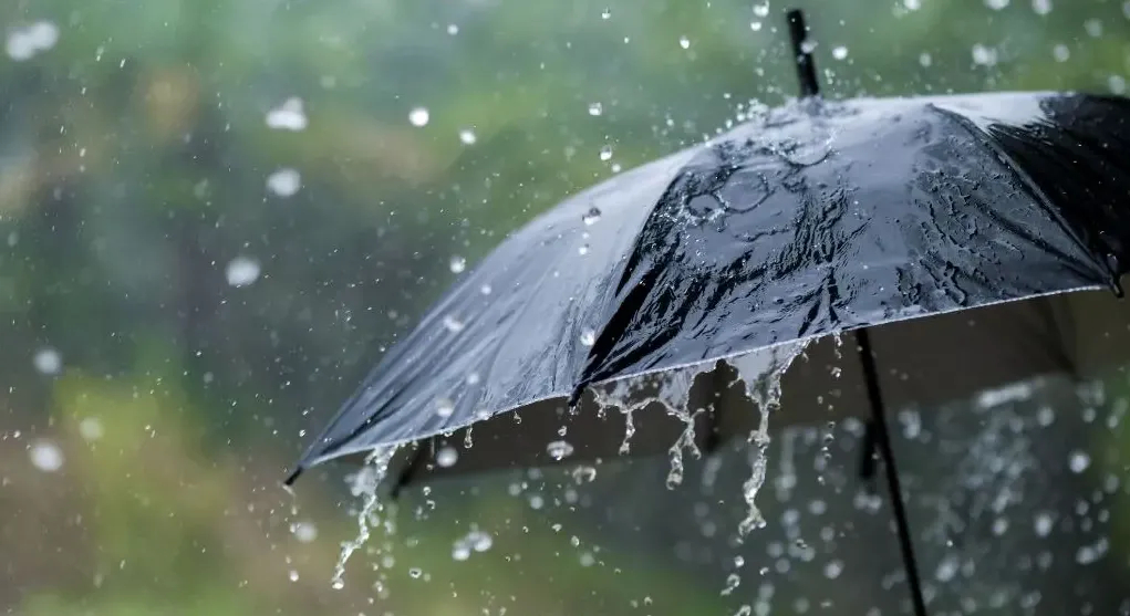 Pluies orageuses dans plusieurs wilayas