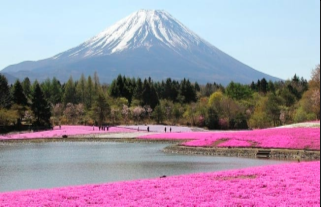 Le premier hôtel Halal du Japon ouvre ses portes face au Mont Fuji