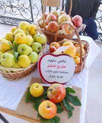 Algérie (Bouhmama/Khenchela) - Khenchela exhibe ses atouts: La fête de la pomme le 26 Octobre 2024