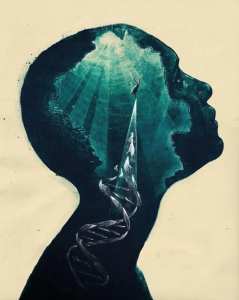 J'apprends petit à petit...