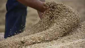 L'Algérie boycotte le blé français