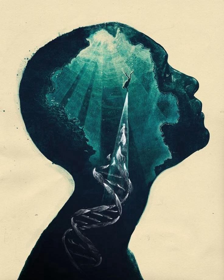 J'apprends petit à petit...