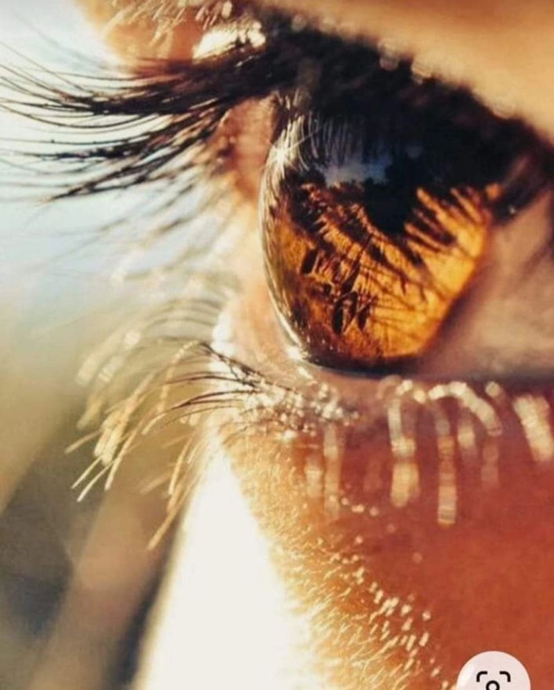 Quels que soient les événements ...