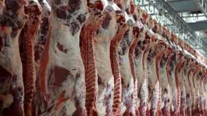 تحضيرا لشهر رمضان.. لقاء تنسيقي لتنظيم عملية استيراد اللحوم الحمراء والبيضاء