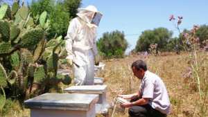 Algérie (Tizi-Ouzou) -  Le premier salon national de l’apiculture et des petits élevages en préparation