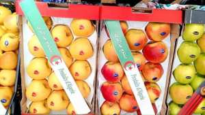 SPÉCULATION SUR LES POMMES L’État durcit le ton, le Conseil interprofessionnel se mobilise